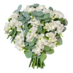 Букет Эльбрус